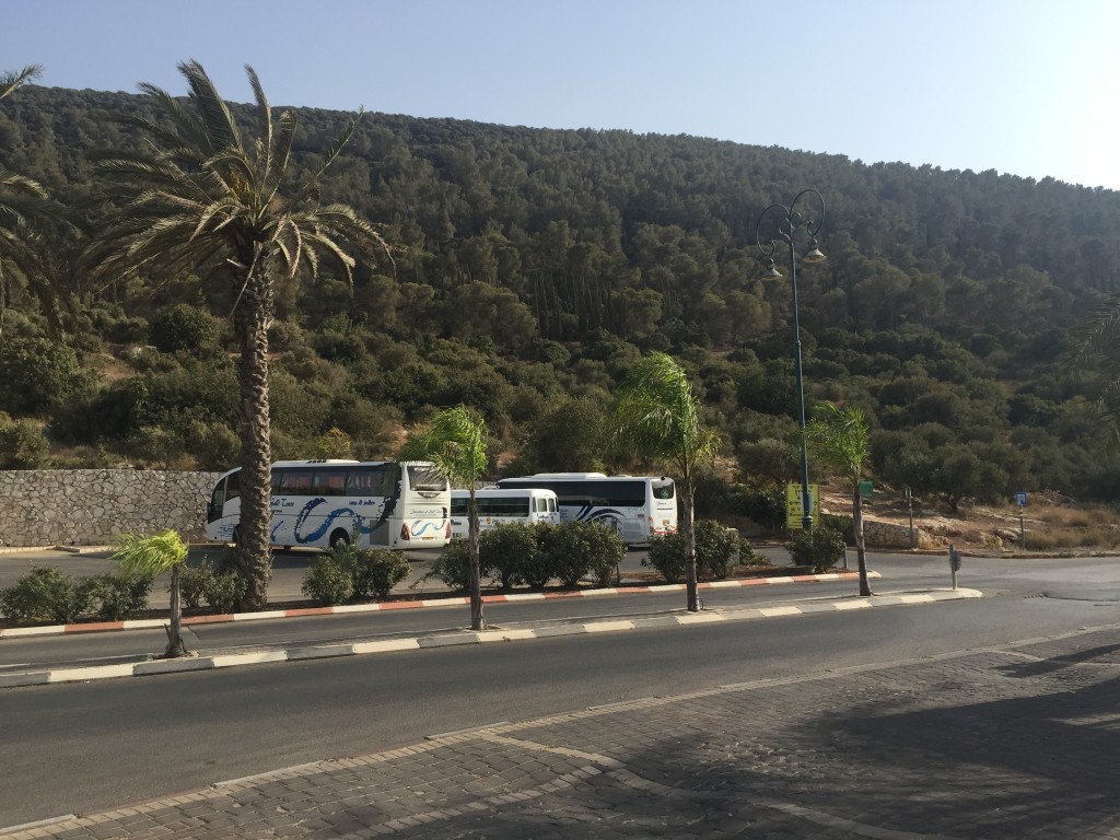 Israel 18 Mount Tabor